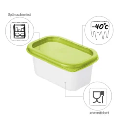 ROTHO Set Gefrierdosen 4 X 0.2 L DOMINO, Farbe:Limettengrün -Küchenbedarf Laden 13ebf58034d2b9173e889973e1e790e8