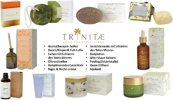 Villeroy & Boch 12 X Design Naif Frühstücksteller Arche Noah Vorteilsset 12 X Art. Nr. 1023372643 Und Gratis 1 Trinitae Körperpflegeprodukt -Küchenbedarf Laden 4b7ce5e78417bf2b9efb1931b5e657cc 2