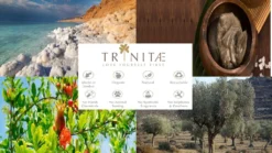 Nachtmann Vorteilsset 2 X 4 Glas/Stck Obstbrand 50/46 Vivendi 89736 Und Gratis 1 X Trinitae Körperpflegeprodukt -Küchenbedarf Laden 67077e59e1a1032d5c820cf4eae4ab17 3