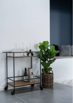 Vita Barwagen -Küchenbedarf Laden 7d3e6cbc6583d93d9d4e0fee83a6b0eb