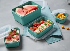 Emsa CLIP & CLOSE Colour Edition Grün 4er Set (0,2 / 0,55 / 0,8 / 2,2) -Küchenbedarf Laden a74fee1907346e1198e6b98f2863a95b