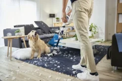 Rowenta RH9474, Trocken, Zyklonal, 82 DB, Beutellos, Orange, Weiß, Tätigkeit -Küchenbedarf Laden c43130de6d90f40691762650a58634bf