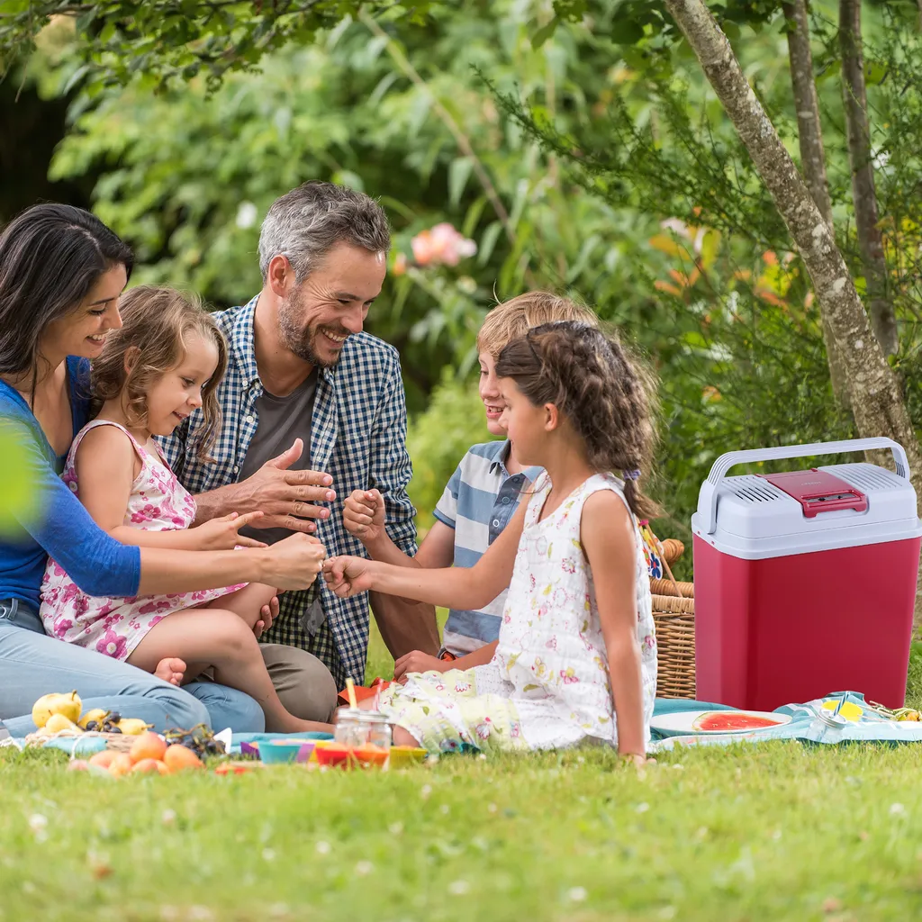AREBOS 20 Liter Kühlbox Elektrisch, Klein, Zum Kühlen Und Warmhalten, Mit ECO Modus, 12/230 V Für Auto Und Steckdose, Kühltasche, Isoliertasche 4 AREBOS 20 Liter Kühlbox Elektrisch, Klein, Zum Kühlen Und Warmhalten, Mit ECO Modus, 12/230 V Für Auto Und Steckdose, Kühltasche, Isoliertasche – Bild 2